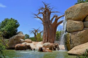Bioparc Valencia